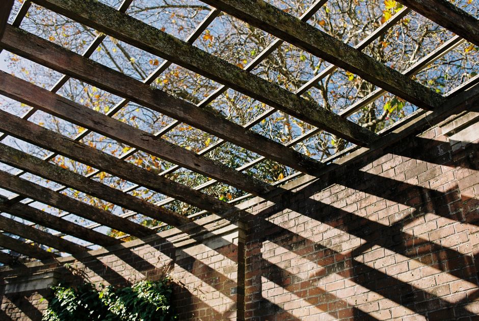 Repairing a Pergola After Wood Movement: Why Joints Loosen and Fasteners Fail