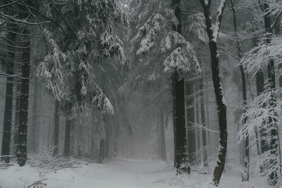 The Silent Cascade: A Troubleshooting Guide to Freezer Organization and Care
