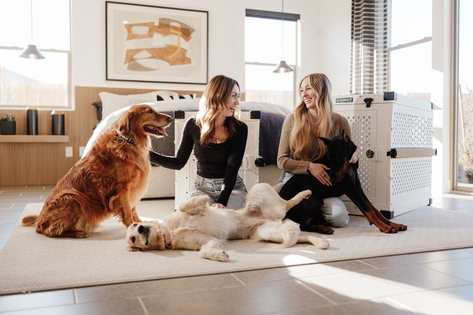 Senior Pet Space Training: Adapting Crates, Bedrooms, and Routines for Aging Dogs and Cats