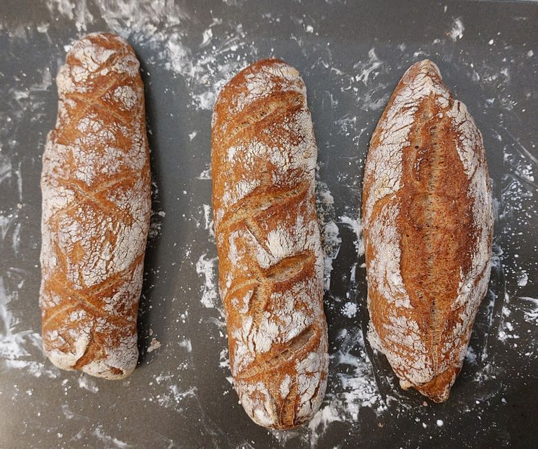 Bread Baking Dos and Don'ts: Essential Rules for Perfect Homemade Loaves