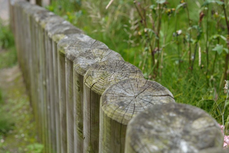 Do Fence Posts Rot From the Bottom Up, and What Actually Slows It Down?