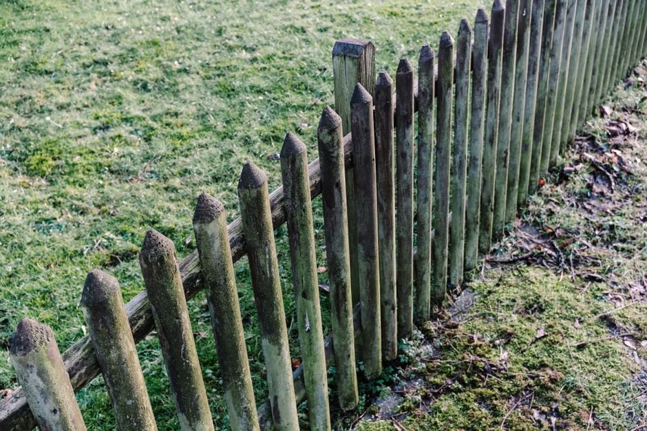 Why Fence Posts Rot at the Ground Line and How to Decide Whether to Repair, Sister, or Replace