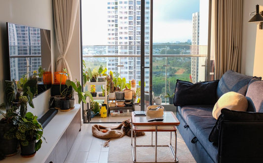 Living Large: A Complete Guide to Introducing a New Pet in a Small Apartment