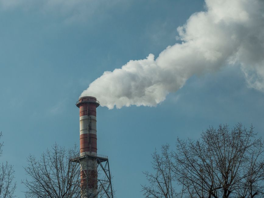 When Lower-Waste Travel Creates More Emissions: The Rebound Effect Nobody Mentions