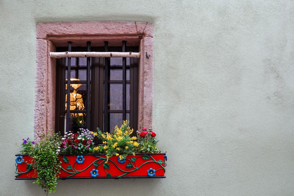 The Busy Person’s Window Box Gardening System: Thriving Plants Without the Time Sink