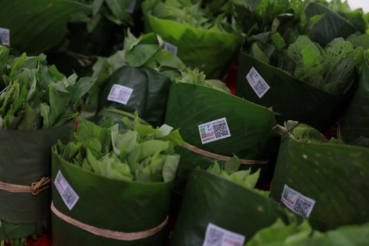 How to Keep Leafy Greens Fresh for Weeks Without Wasting a Single Leaf