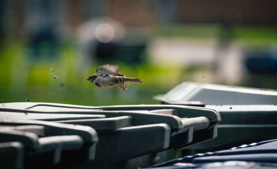 When Small Bins Betray You: How Container Sizing Creates Overflow and Category Drift