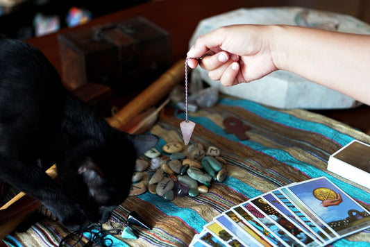 Quick Fixes for Cat Behavior Problems: Easy Solutions That Work