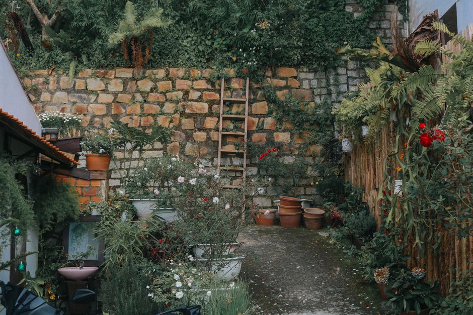 How to Diagnose and Fix a Struggling Container Garden: A Step-by-Step Guide