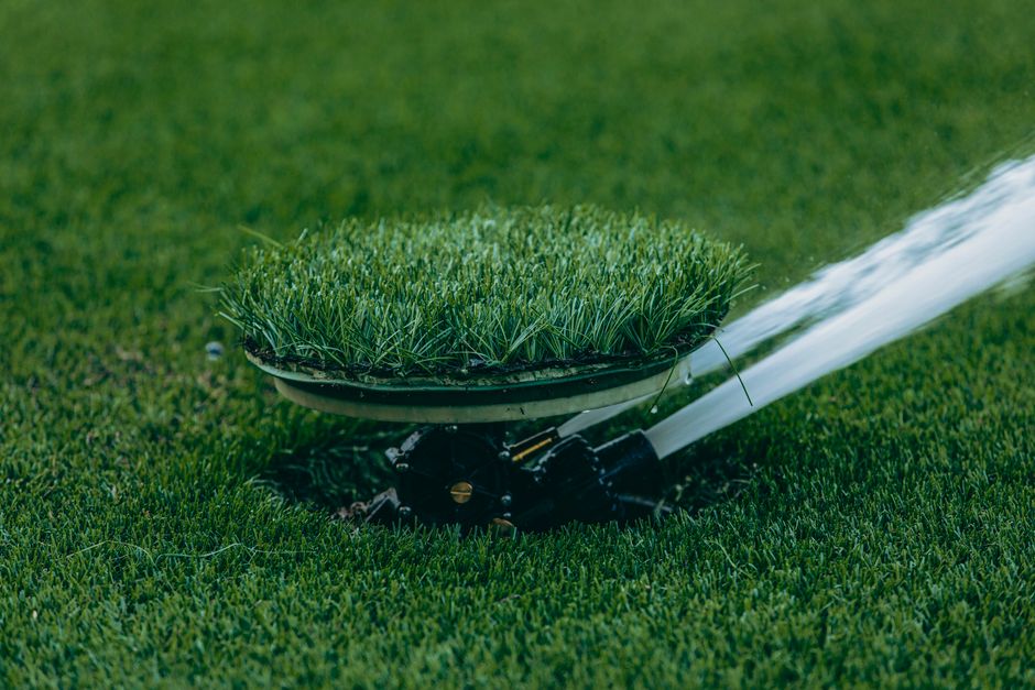 Compact Lawn Care: A Complete Guide to a Thriving Miniature Turf