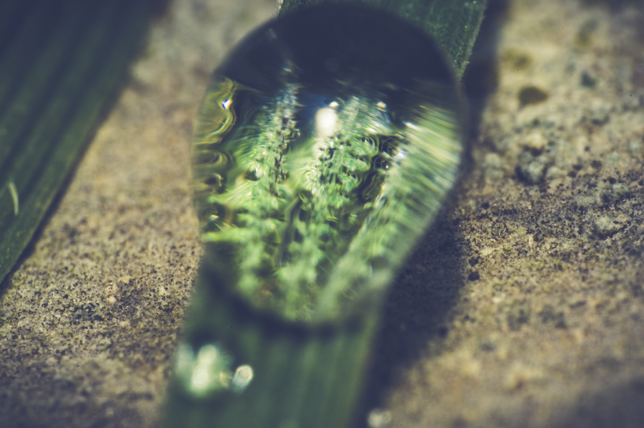 Why Water Activity, Not Just Moisture, Explains Crispness, Chewiness, and Safe Storage