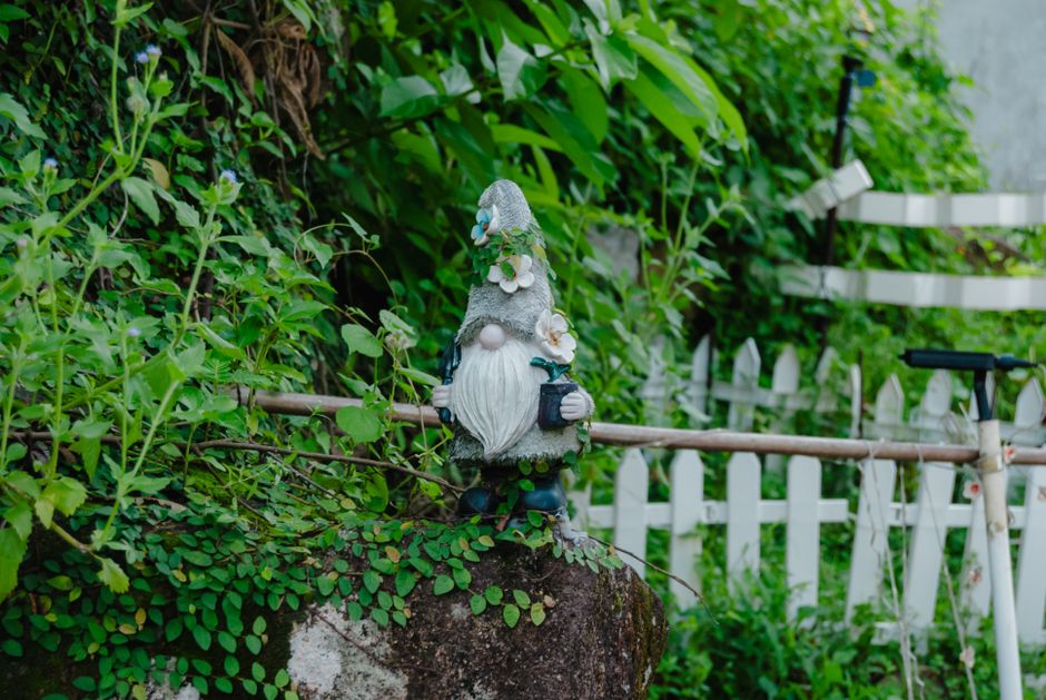 Avoid These Common Landscaping Mistakes: Simple Fixes for a Healthier Yard