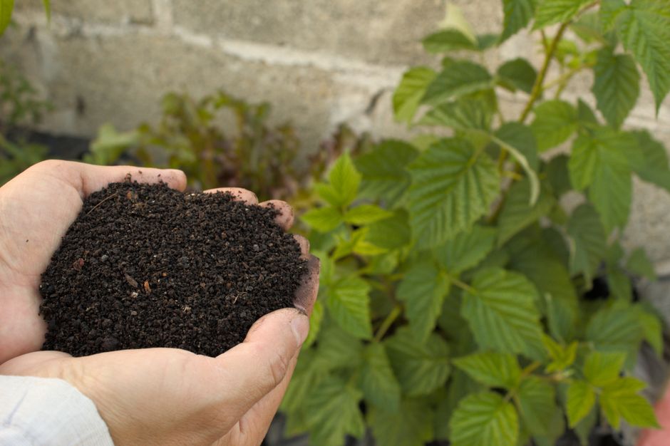 Does Composting Actually Improve Soil Health at Home?