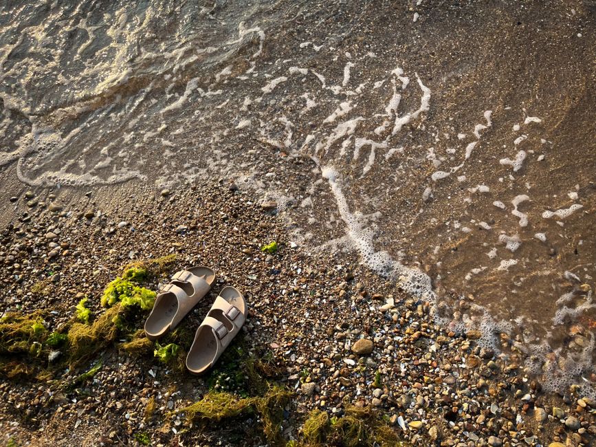 Drain Clogs That Keep Coming Back: Why They Fail and How to Fix the Real Problem