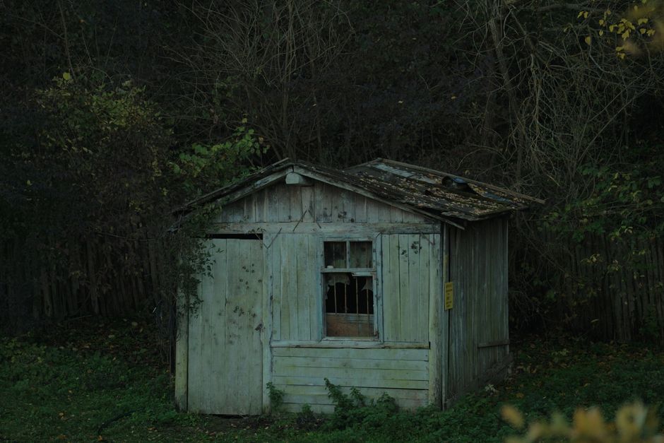 Why Your Shed Floor Keeps Rotting: A Step-by-Step Repair and Prevention Guide