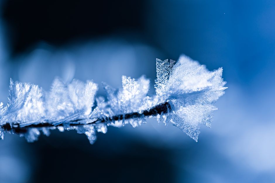 Freezer Burn: How Time, Temperature, and Ice Crystals Change Frozen Food