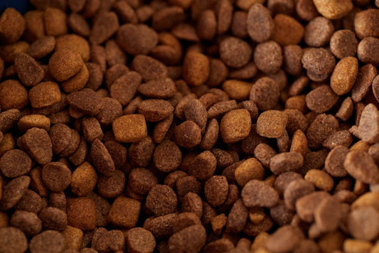 DIY Pet Food Storage Hacks to Keep Kibble Fresh and Pests Away