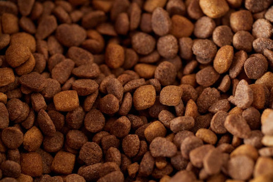 Smart Ways to Store Pet Food on a Budget