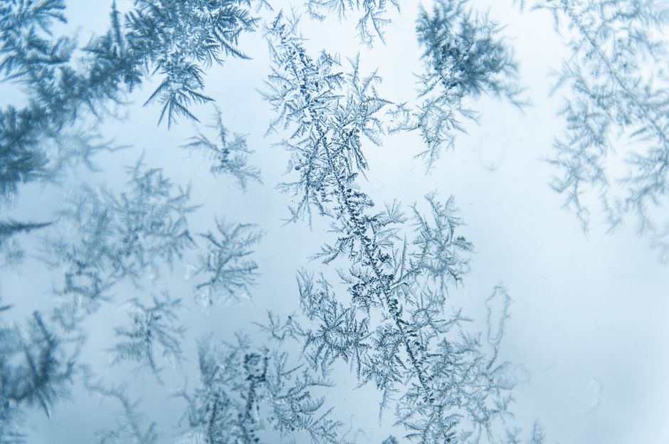 Why Your Ice Maker Keeps Freezing Over and How to Fix It Safely