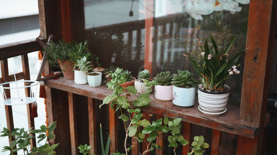 Maximizing a Small Space Garden: Essential Tips for Patios, Balconies, and Tiny Yards