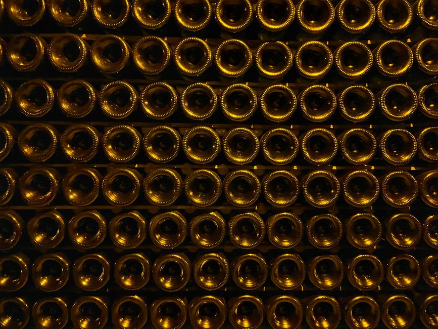 Why a Wine Cooler Feels Cold but Also Feels Warm: Where the Electricity Actually Goes