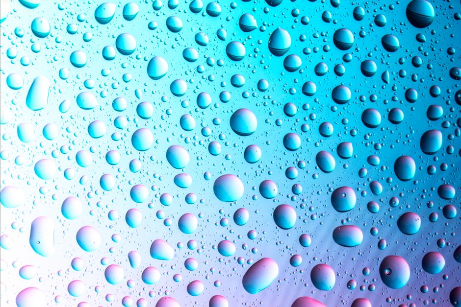 Bottom Watering: Why the Method Matters Less Than the Moisture Gradient
