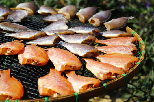 When Drying Food Goes Wrong: Why Dry Appearance Does Not Mean Safe Preservation