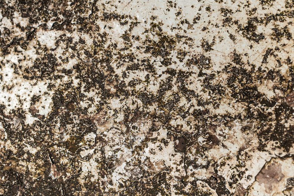 Why Upholstery Stains Seem to Return: Soil Chemistry and Fiber Behavior