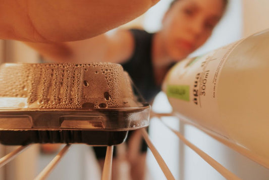 Pet Food Storage: Why Indoor Life Makes Freshness a Moving Target