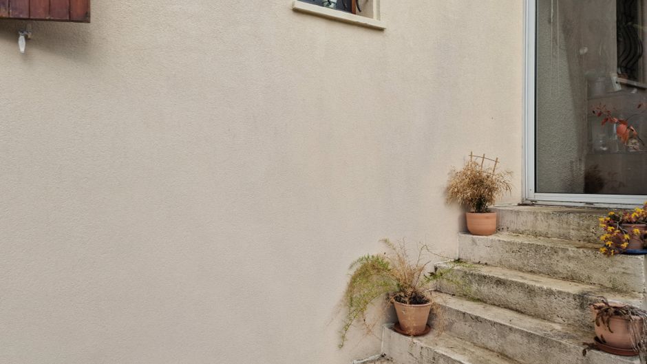 How to Revive an Overwatered Plant: Step-by-Step Rescue Guide