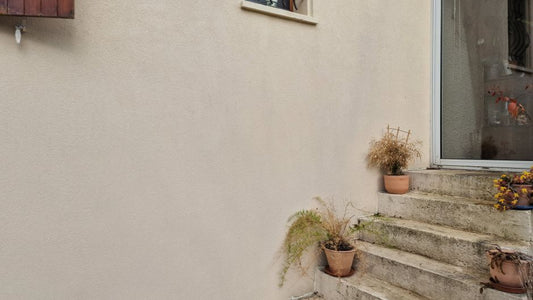 How to Revive an Overwatered Plant: Step-by-Step Rescue Guide