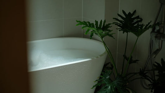 Essential Tools for Bathroom Appliance Care: A Practical Guide for Homeowners