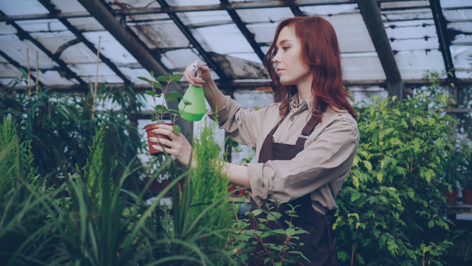 Garden Tools That Actually Work: The Real Systems for Thriving Plants