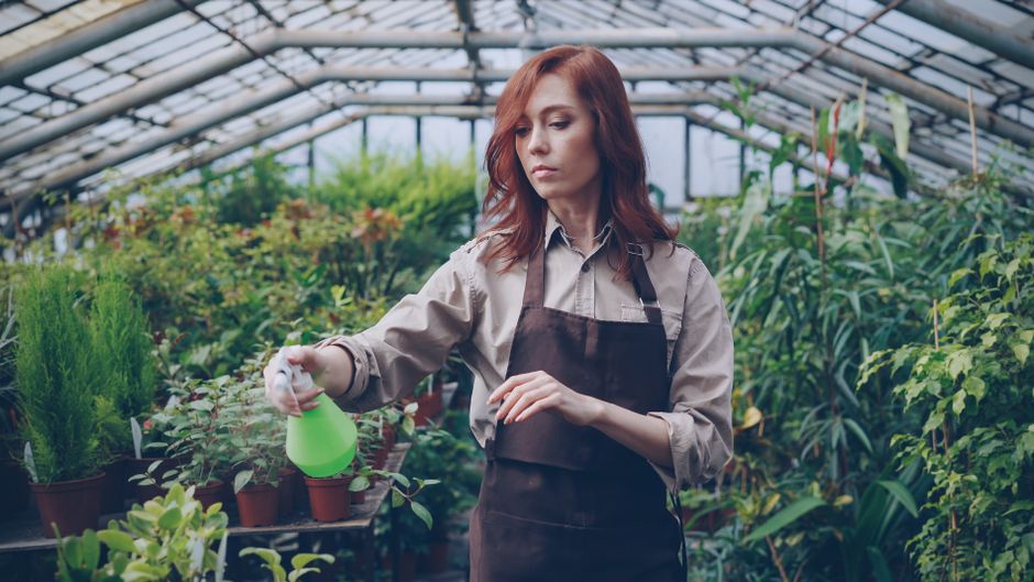 Smart Pest Control Shortcuts: Hidden Tips and Tricks for Plant Lovers