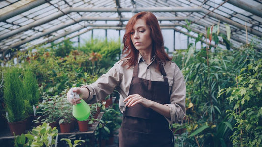 How to Handle a Houseplant Pest Outbreak with Kids