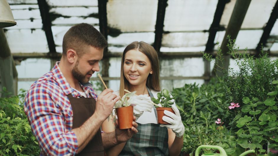 Why Your Plants Look Sick Even Though You Water Them: A Practical Guide to Diagnosing Common Houseplant and Garden Problems