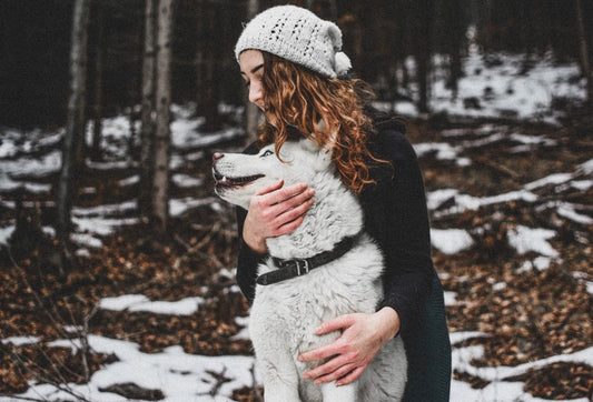 Vet-Approved Winter Care Secrets: Beyond the Basics for a Healthier Pet