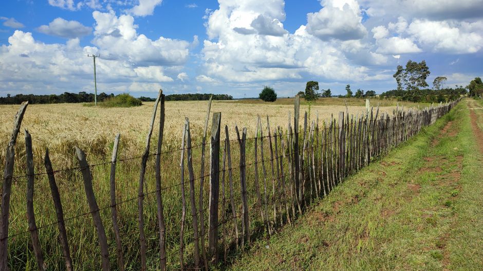 Why Fence Posts Rot at the Ground Line and Not in the Middle