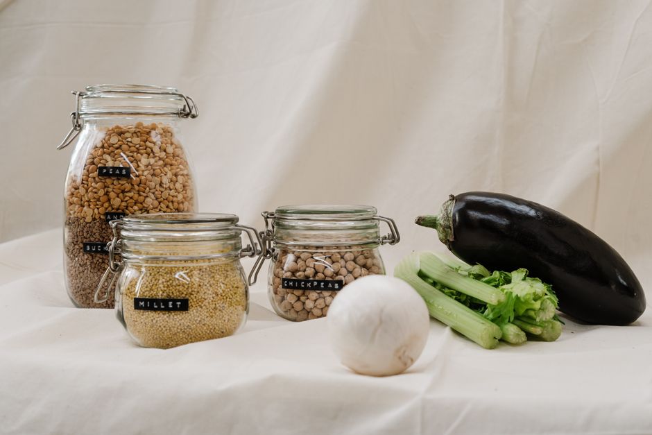 How to Feed Your Pet Without the Waste: A Zero-Waste System for Sustainable Pet Food