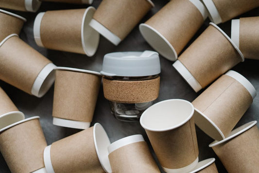 The Long-Term Payoff of Biodegradable Choices: A Practical Guide to Sustaining Real Change