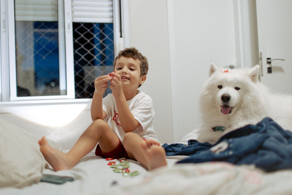 How to Clean an Oven Safely When Young Children or Pets Are in the House