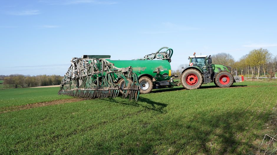 Green Manures: Separating Visible Growth From Actual Soil Improvement