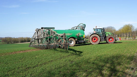 Green Manures: Separating Visible Growth From Actual Soil Improvement