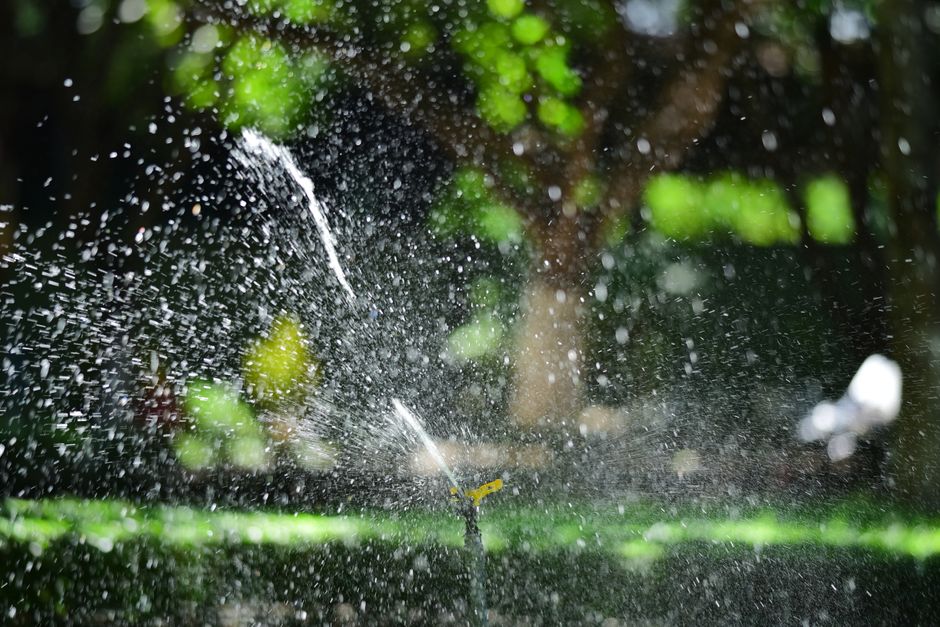 What a Garden Irrigation Label Tells You and What It Doesn't