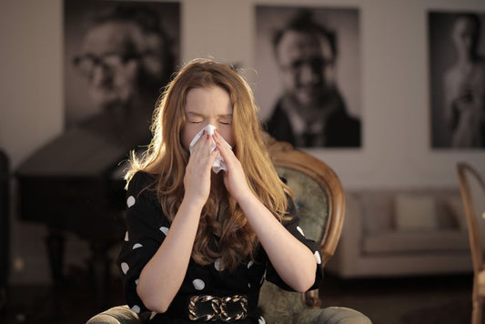 7 Under-$20 Solutions for Home Allergy Relief Without Expensive Products