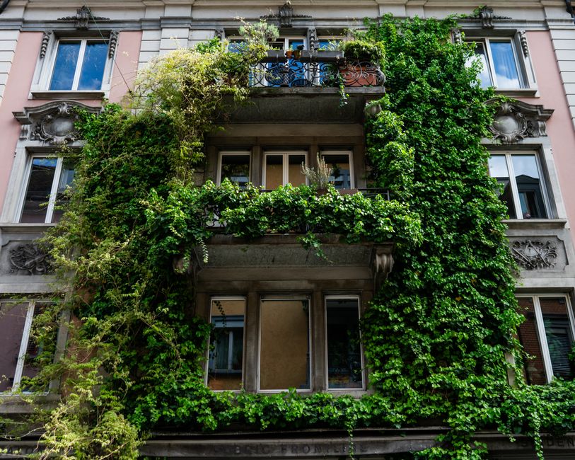 Why Balcony Temperatures Swing Harder Than Garden Soil — and What That Does to Plant Growth