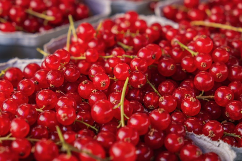 The Smart Way to Store Fresh Berries So They Last Longer