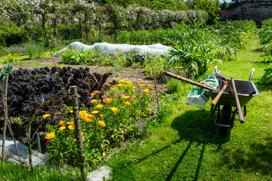Low-Maintenance Composting: A Practical System for Busy Gardeners
