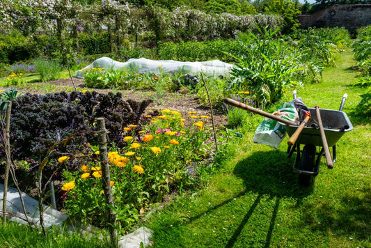 Low-Maintenance Composting: A Practical System for Busy Gardeners