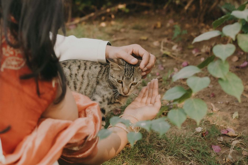 7 Eco-Friendly Pet Care Mistakes You're Probably Making